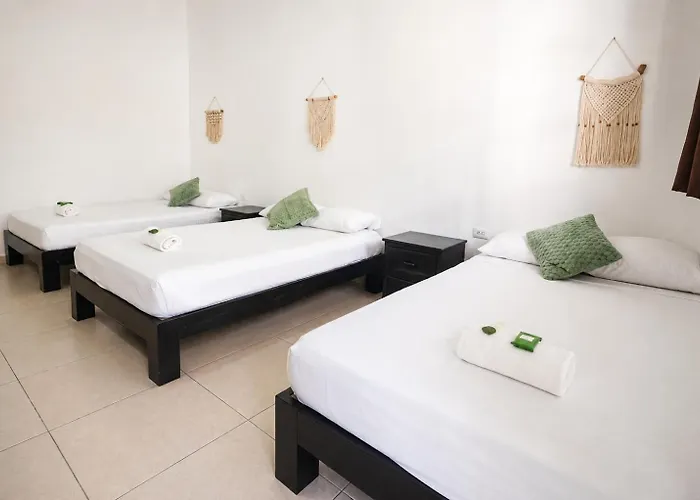 Hostel We Playa - Adults Only Playa del Carmen